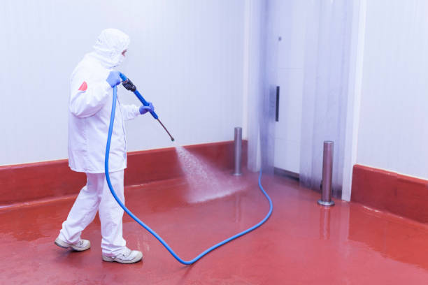 Best Paint Preparation  in Denmark, WI